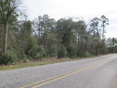 0 Gilmer Rd unit LotWP001, Taylorsville, MS 39168 - photo 2