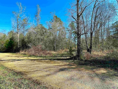 D-4-A Stella Ln, Walker, LA 70785 - photo 3
