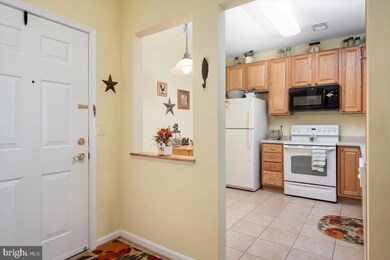 8608 Fluttering Leaf Trail, Odenton, MD 21113 - photo 5