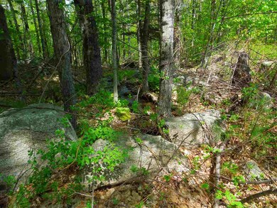 00 Whittier Hwy unit Lot 15.1, Moultonborough, NH 03254 - photo 5