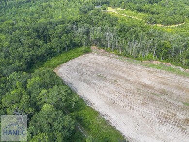 7471 Old River Rd, Patterson, GA 31557 - photo 7