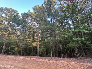 0 Conley Rd, Gore Springs, MS 38929 - photo 5