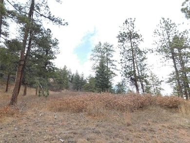 8055 Acoma Dr, Larkspur, CO 80118 - photo 6