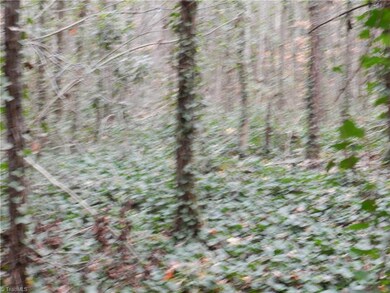 0 Leo Cranford Rd, Asheboro, NC 27205 - photo 3