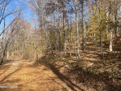 Lot 102 Arrow Head Circle 1