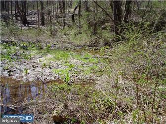 L:9948 State Rd, Boyertown, PA 19512 - photo 6