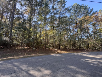 Lot #19 W Bay Dr, Lumberton, MS 39455 - photo 6