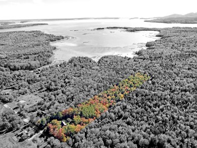 aerial (3) bw
