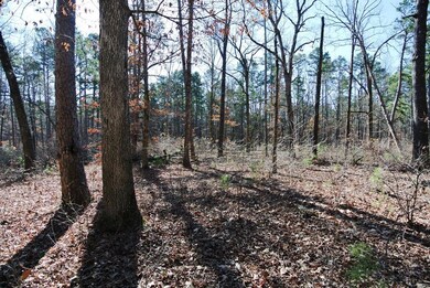 0 Pp Hwy unit 3 19028457, Poplar Bluff, MO 63901 - photo 6