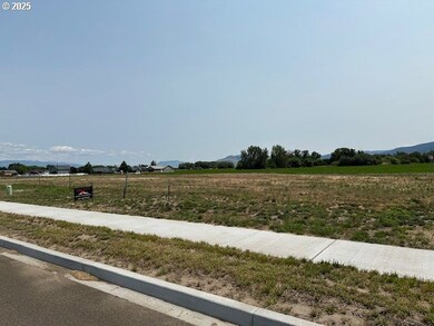 10703 Greg Ln, Islandcity, OR 97850 - photo 3