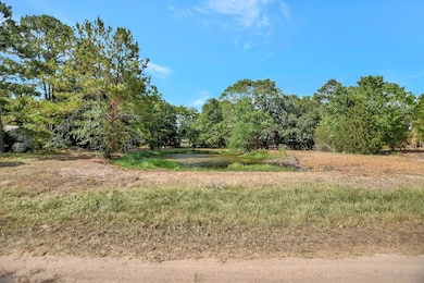 25254 River Run Rd, Hockley, TX 77447 - photo 4
