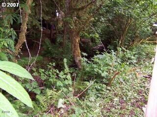 Creek View