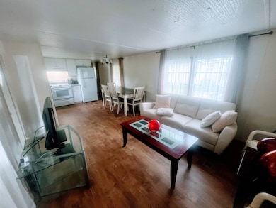 17 Sophie Ave, Dunedin, FL 34698 - photo 6