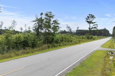 View of asphalt road featuring a forest view