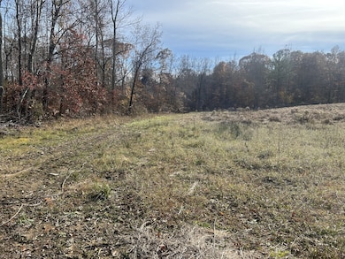 0 Sulphur Creek Rd unit RTC3044976, Big Sandy, TN 38221 - photo 2