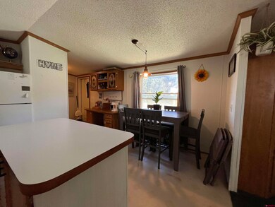 34344 Highway 160 unit 61, Durango, CO 81303 - photo 6