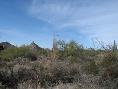 Pinnacle Peak Day