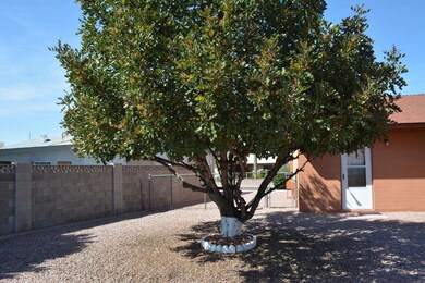 Mature Trees