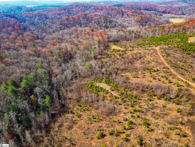 0 Skyland Dr unit 1575916, Marietta, SC 26661 - photo 7