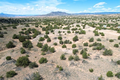 0 Fort Defina unit 25558757, Abiquiu, NM 87510 - photo 3