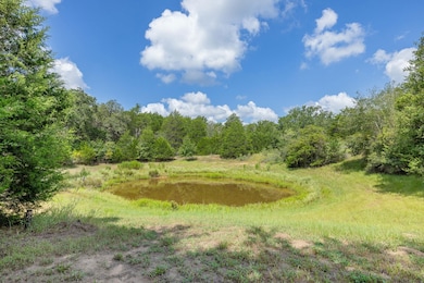 9795 County Road 316, Caldwell, TX 77836 - photo 2