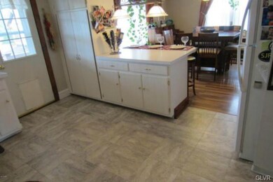 KITCHEN FLOOR AND DOGGIE DOOR