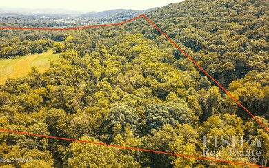 0 Weaver Rd unit WB-97033, Muncy Creek, PA 17756 - photo 5