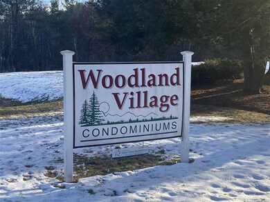 44C Constitution Dr, Londonderry, NH 03053 - photo 2