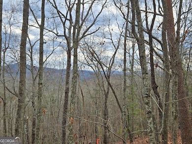 2372 Humphrey Mill Rd, Mineral Bluff, GA 30559 - photo 7