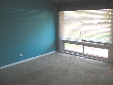 110 N Dorchester Ave, Wheaton, IL 60187 - photo 4