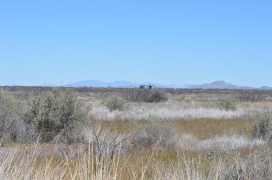 View NE from road south of ppty