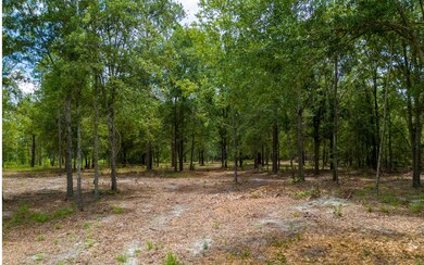 0 Lot 12 167th Rd unit 127741, Live Oak, FL 32060 - photo 2