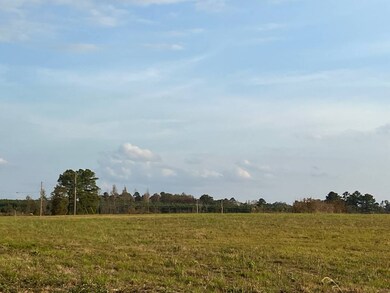 0 Pilcher Rd unit 11609601, Many, LA 71449 - photo 3