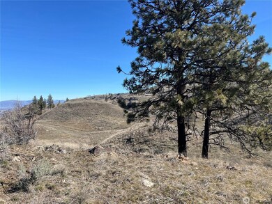 NNA Soap Lake Rd, Malott, WA 98829 - photo 4