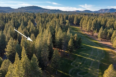 14036 Ski View Loop, Truckee, CA 96161 - photo 7