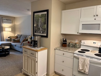 60 Old Hackett Hill Rd unit 2D, Manchester, NH 03102 - photo 3