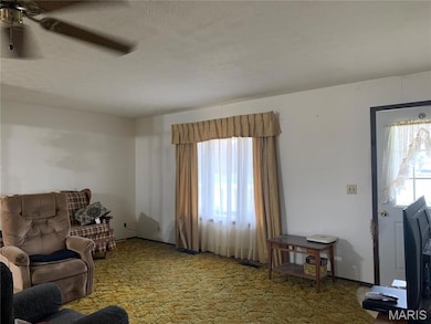 313 E Taylor St, Sorento, IL 62086 - photo 7