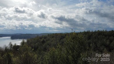 26 Peninsula Reserve Rd unit 26, Nebo, NC 28761 - photo 5