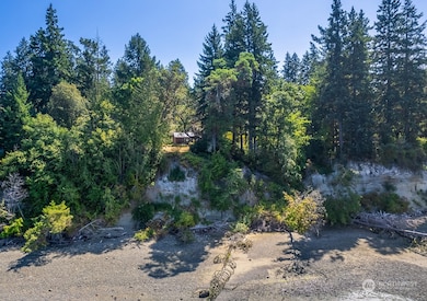 12808 Drayton Rd, Anderson Island, WA 98303 - photo 5