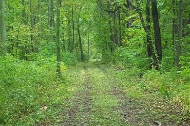Good Trails-WR