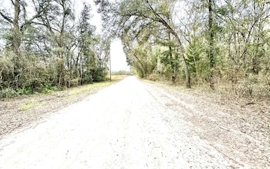 11 NE Tansy Road Lot 30, Mayo, FL 32066 - photo 7
