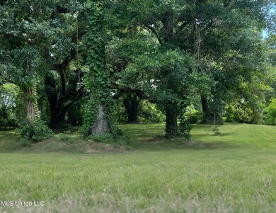 Untitled design (2)