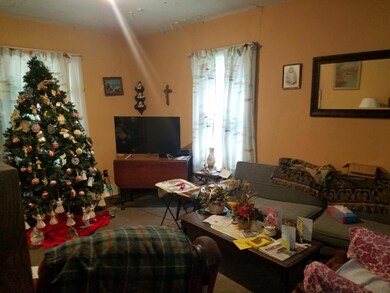 321 S Jefferson St, Marshall, MI 49068 - photo 3