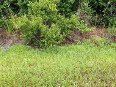 25153 Blackburn Dr, Splendora, TX 77372 - photo 4