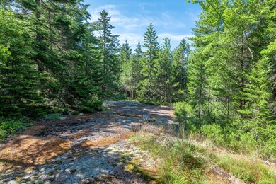 45-Lot #8 Rock Garden Way, Seal Harbor-D