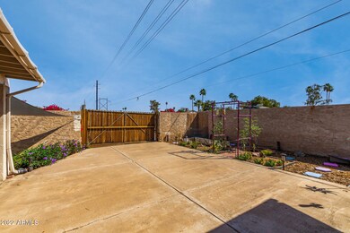 Back Yard 1