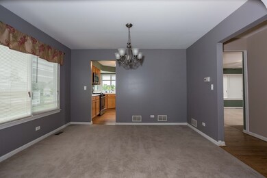 917 Cortney Dr, Carpentersville, IL 60110 - photo 4