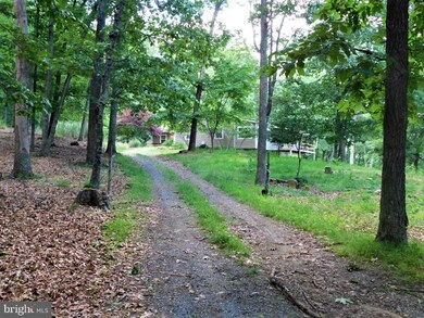 45 Oriole Trail, Franklin, WV 26807 - photo 6