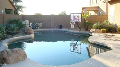 Great pool and backyard