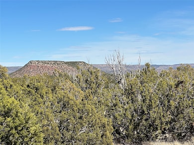 4.872 Acres Fronxtage Rd 2116, Serafina, NM 87569 - photo 4
